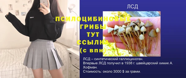 молекула духа Алзамай