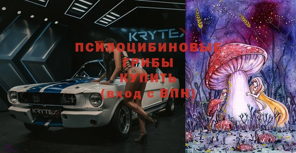 молекула духа Алзамай