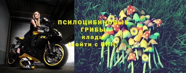 молекула духа Алзамай