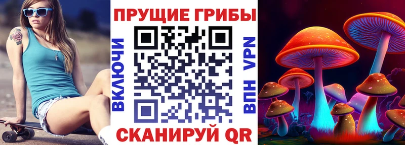 дарк нет формула  Петрозаводск  Псилоцибиновые грибы Magic Shrooms  хочу  
