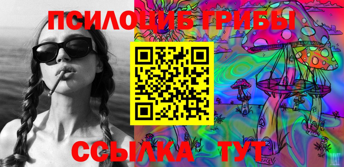 Галлюциногенные грибы Psilocybe Петрозаводск